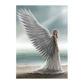 Angel with wings standing by the sea.