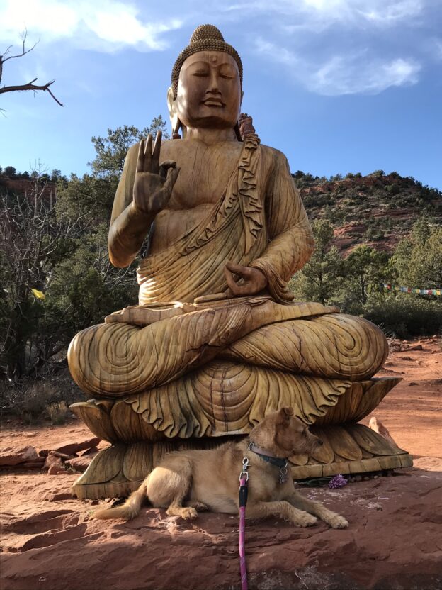 Buddha statue with dog in serene setting.